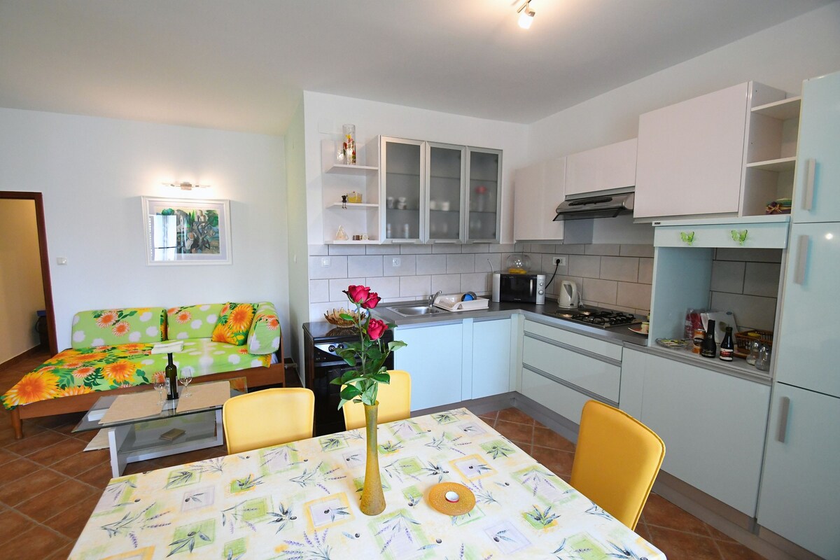 Apartment Pilly with private parking and terrace