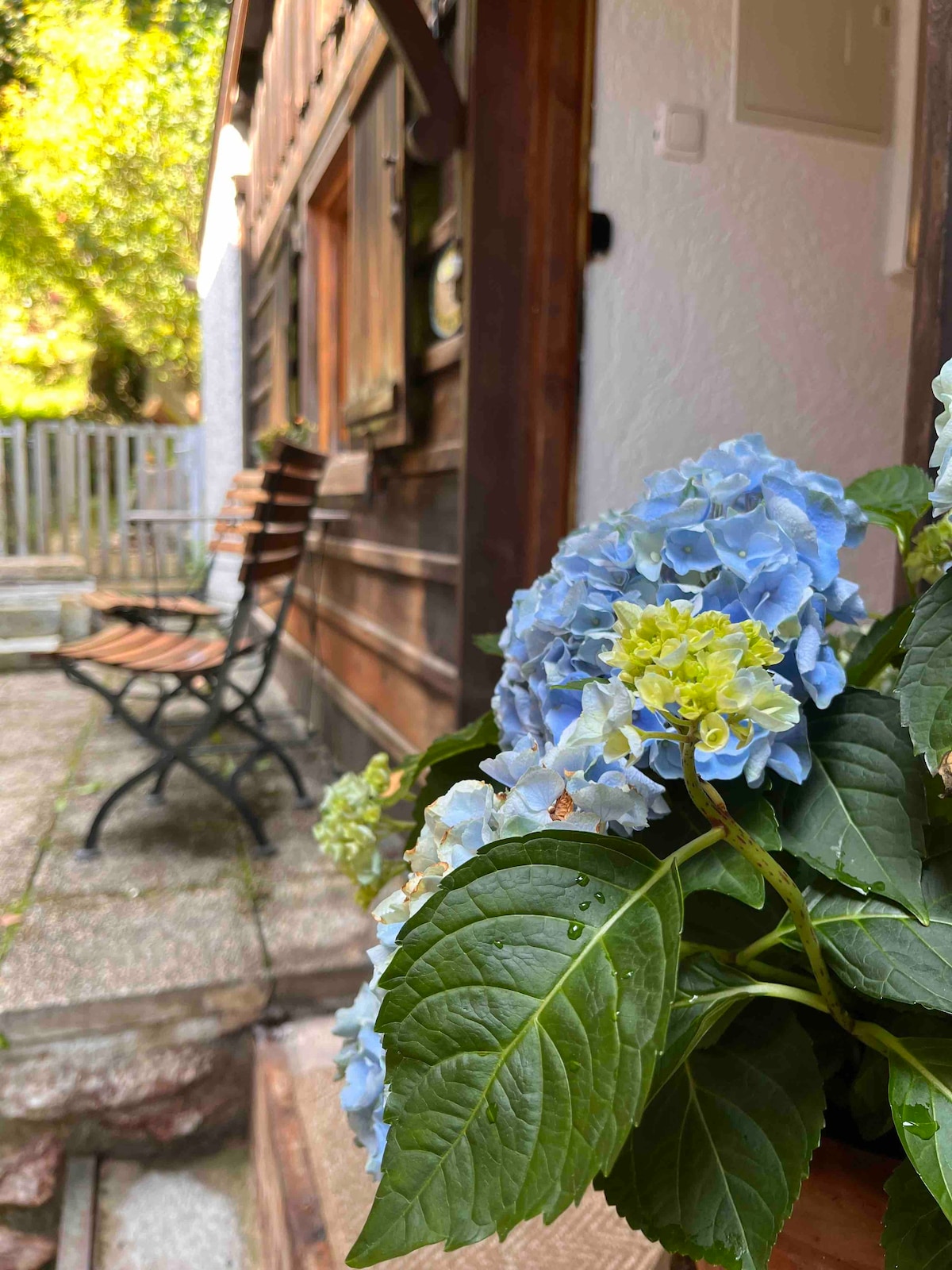 Bergsteigerzimmer mit Privateingang und Terrasse