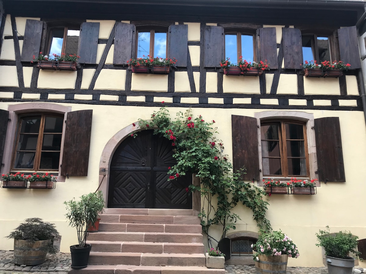 欢迎Gîte Les Hirondelles Eguisheim