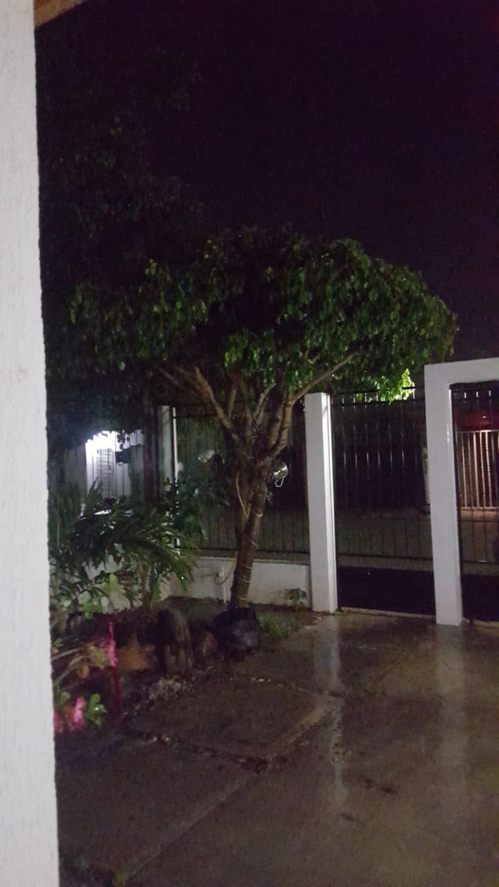 Casa Ficus