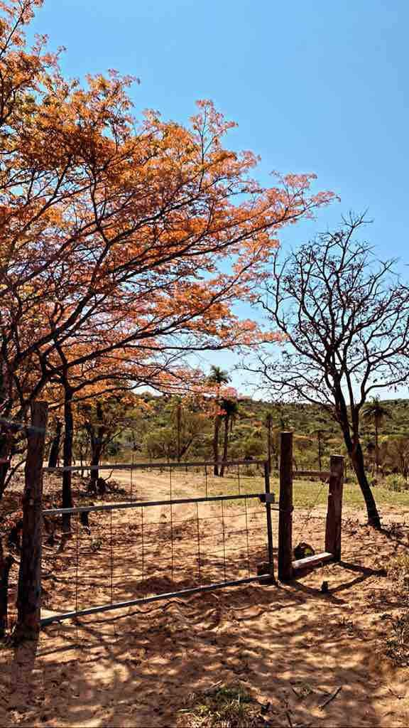 Estadía en granja acogedora ubicada en un cerro