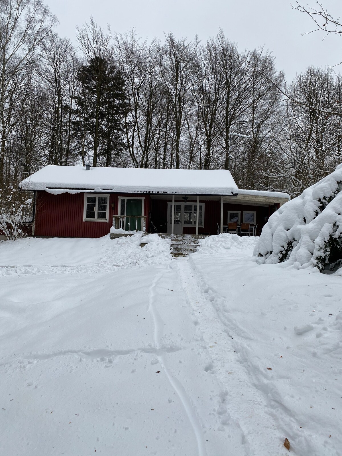 位于Hallandsåsen山顶的瑞典小屋