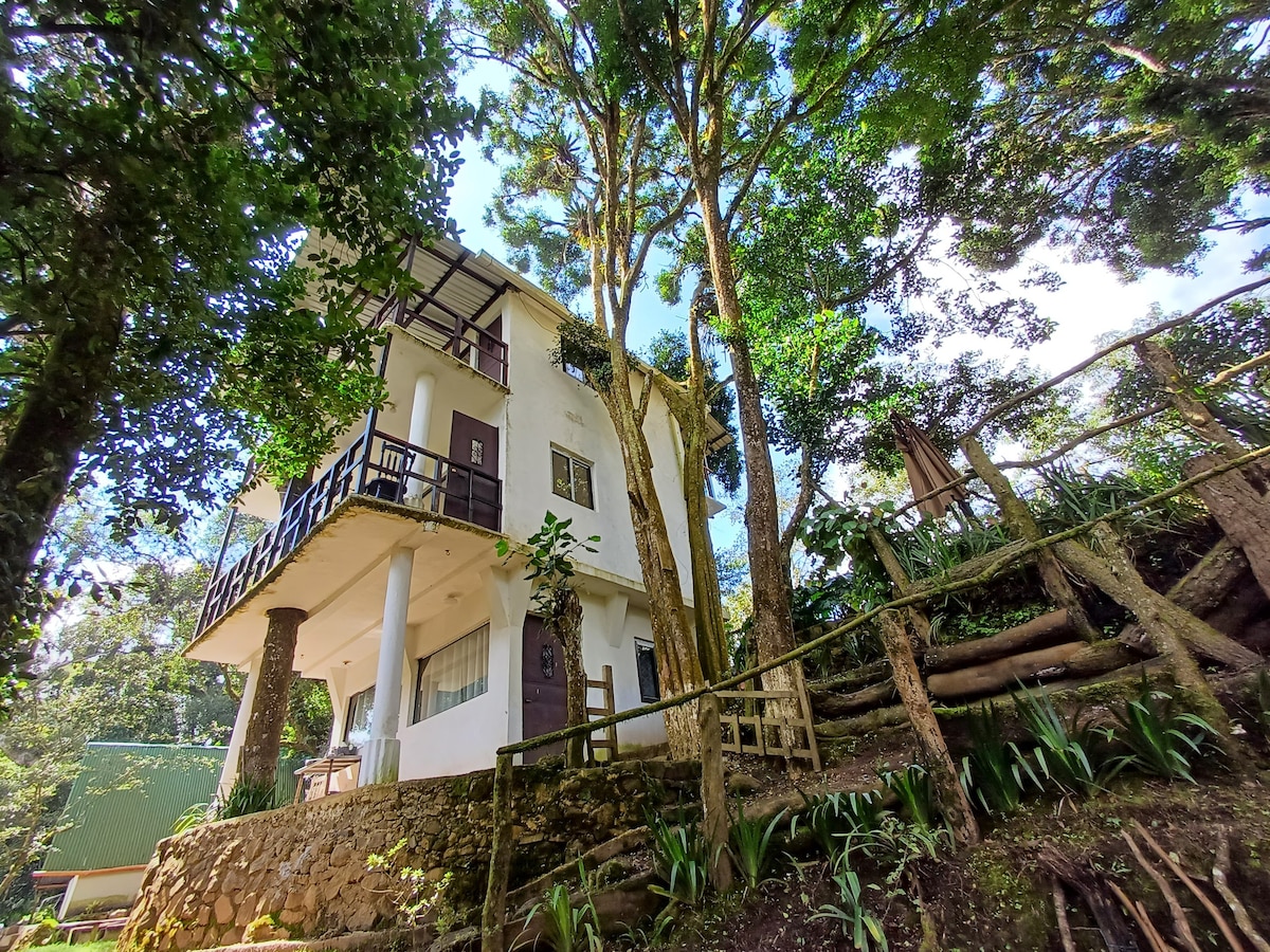 Casa del Bosque