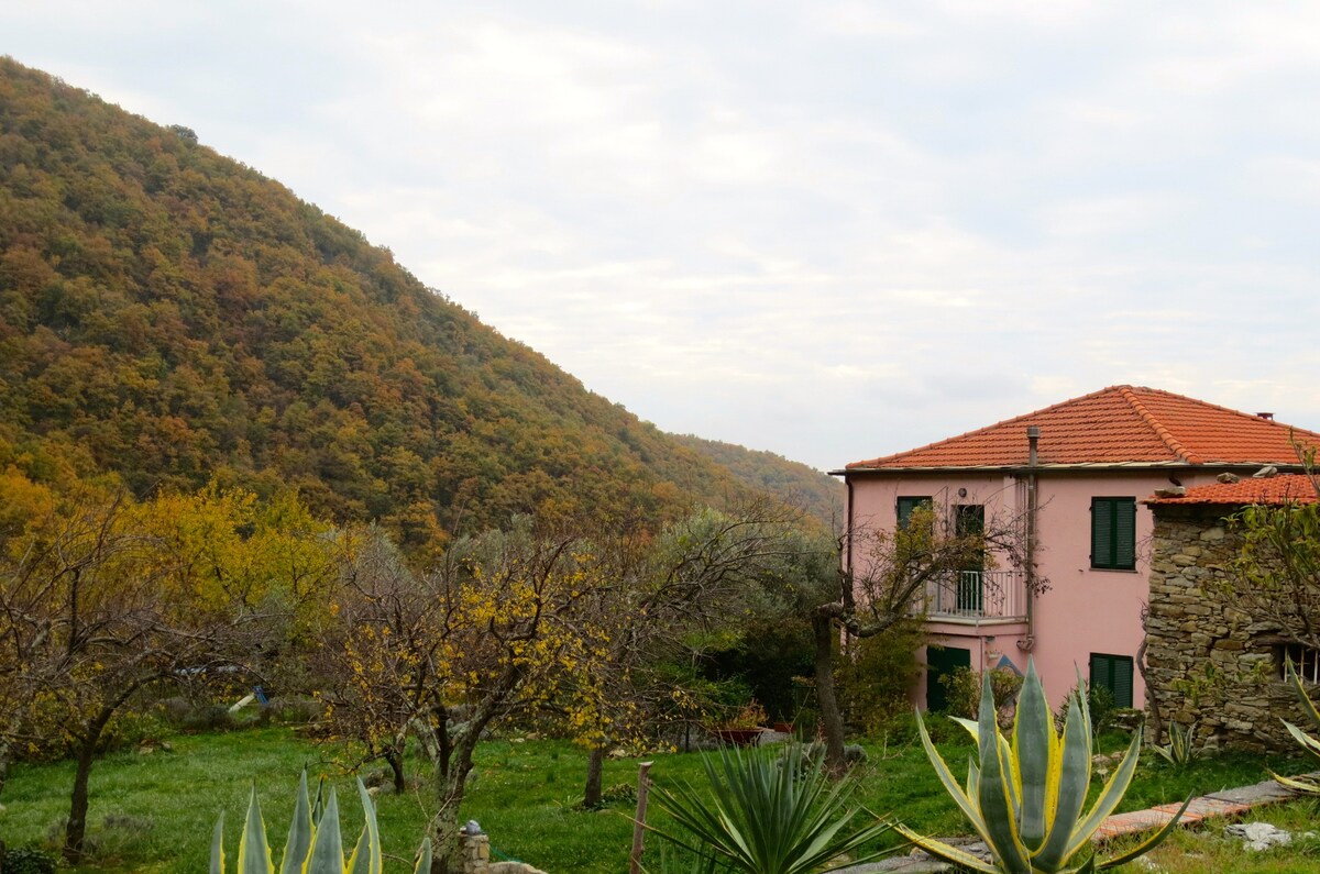 Borgata Castello乡村别墅，带大花园