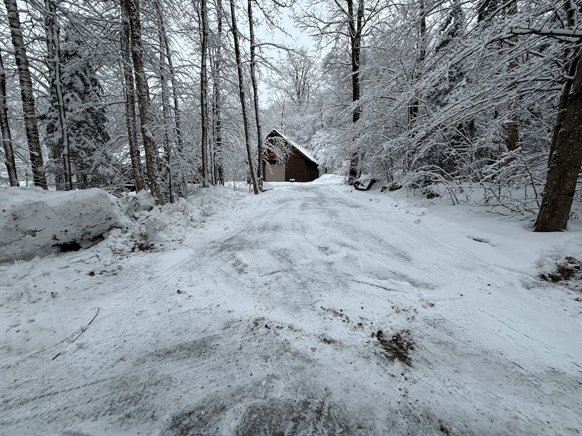 Cozy Cabin & Fun-Filled Barn *VAST access* Mt snow