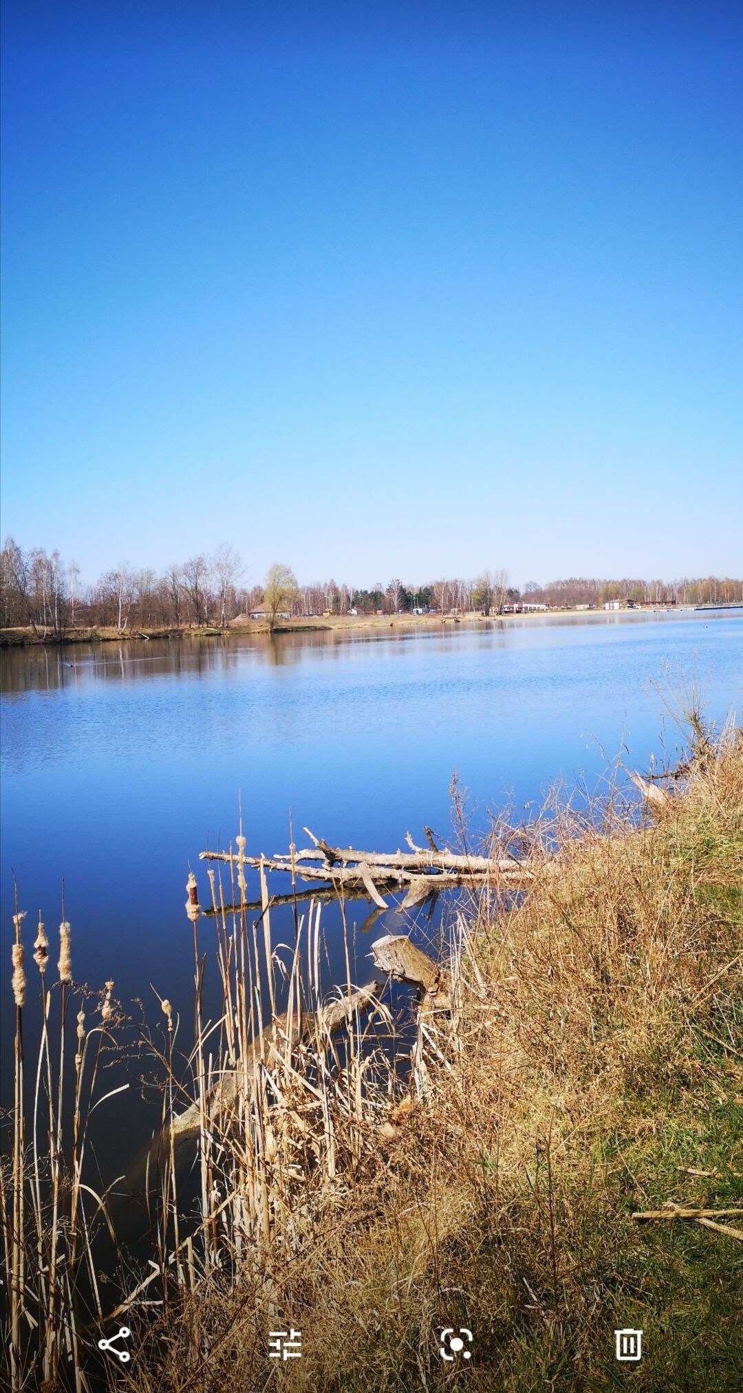 在拉尔多夫斯基（ Érardovsky ）洪水中的一片土地上放松身心。