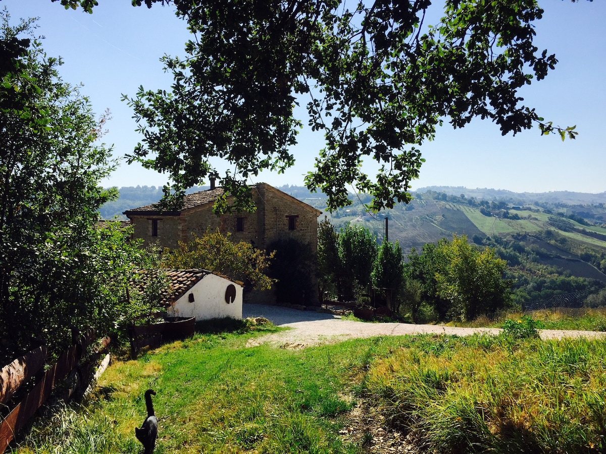 Quiet Organic vineyard & farmhouse, Central Italy.