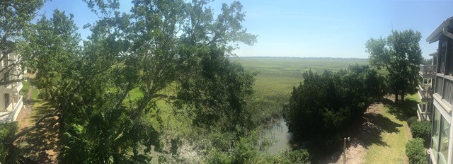 沼泽地令人赞叹的景色