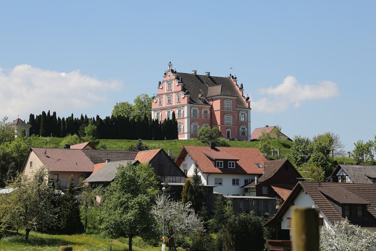 弗洛伊德尔纳Schloss酒店， （艾伦斯巴赫） ，城堡中的双人客房