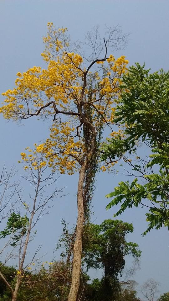 Fazenda Por do Sol, casa grande, junto á natureza