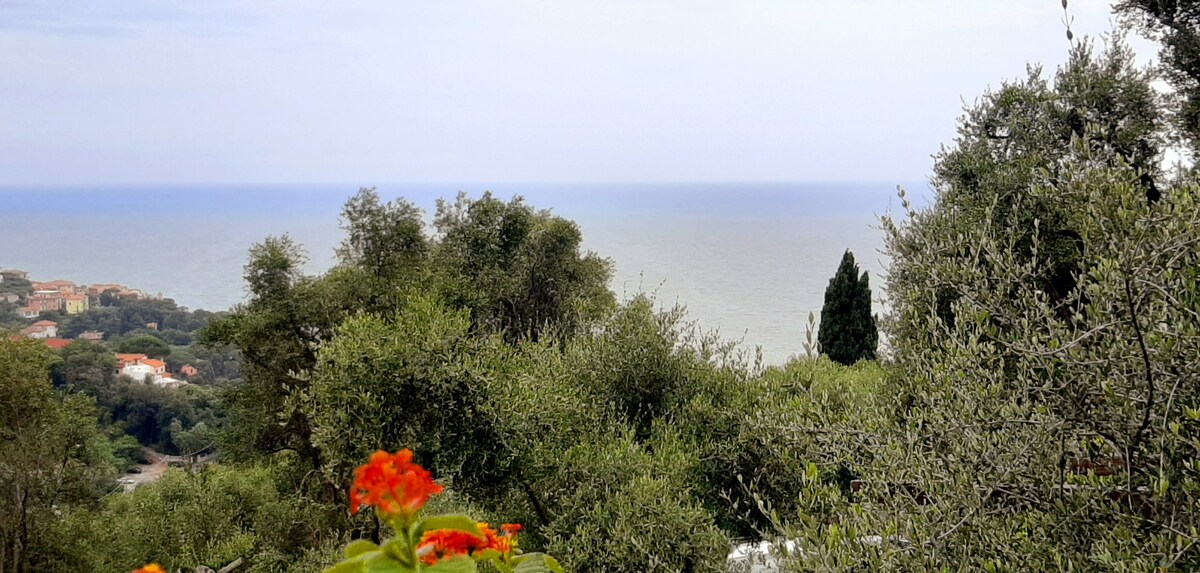 橄榄树之间的浪漫小屋，海景