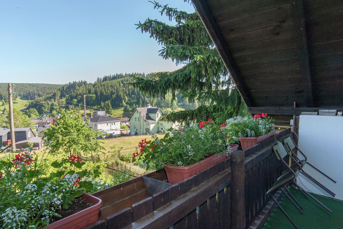 holiday home with sauna Thuringian Forest