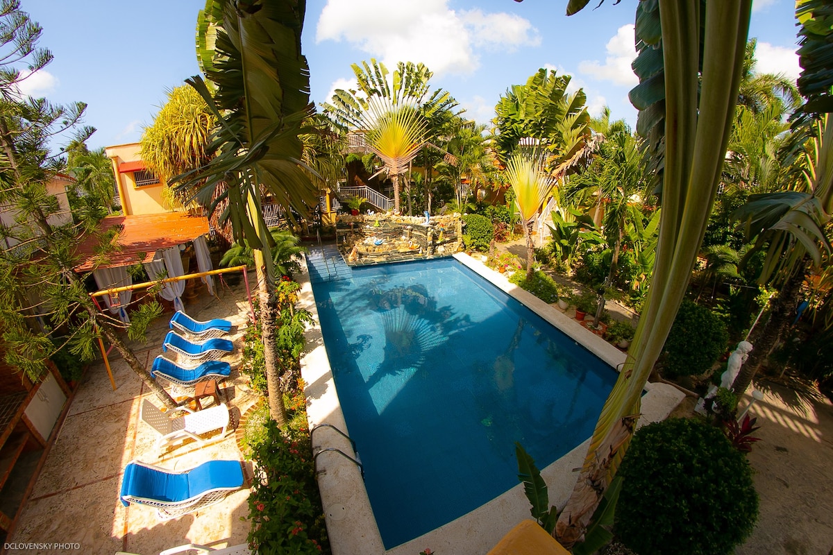带泳池的热带花园-STUDIO公寓（ 3 ）