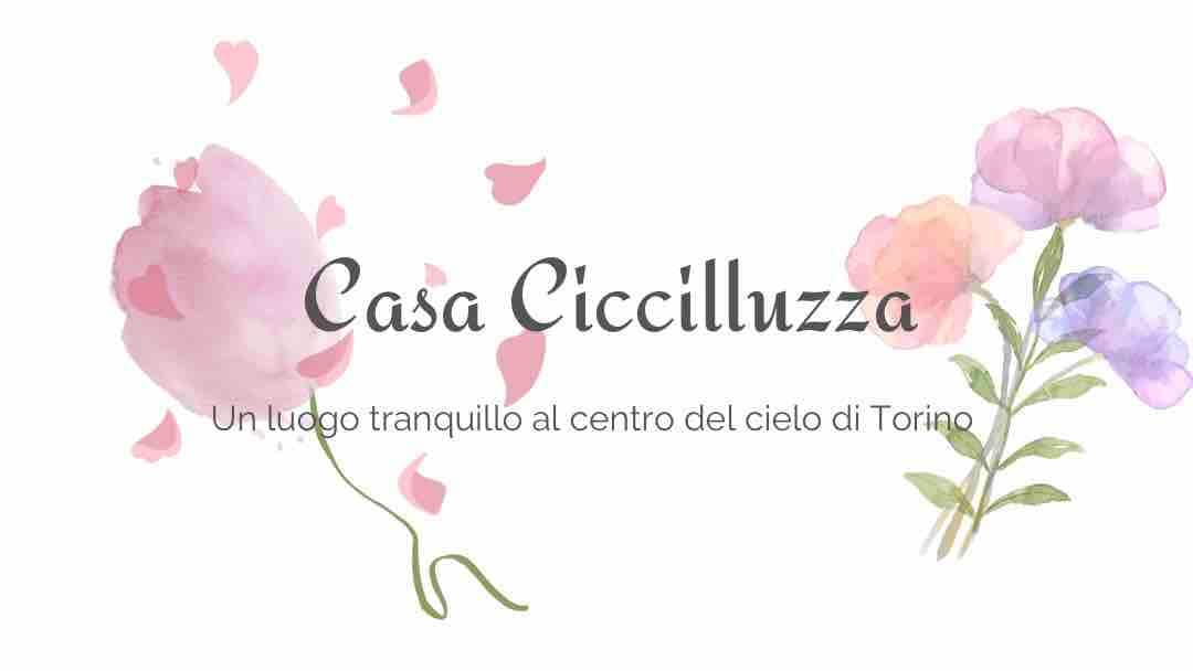 Ciccilluzza -大单间公寓CIR00127202941