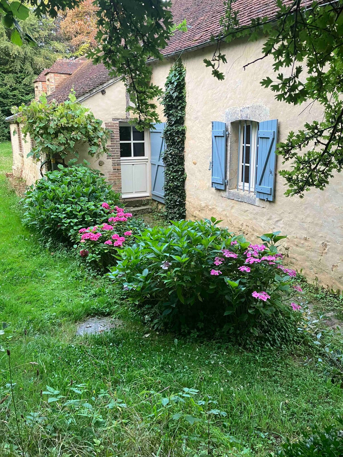 La Ferme du Pré Martin. B&B