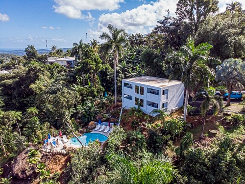 热带雨林单间公寓# 1游泳池、热带花园、景观