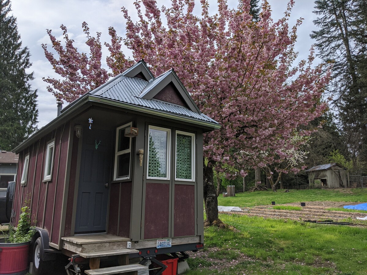 微型农场上的微型住宅