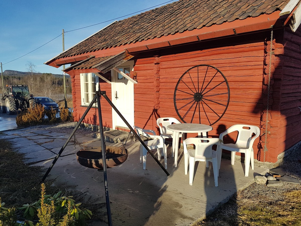Vikersund附近的木屋
