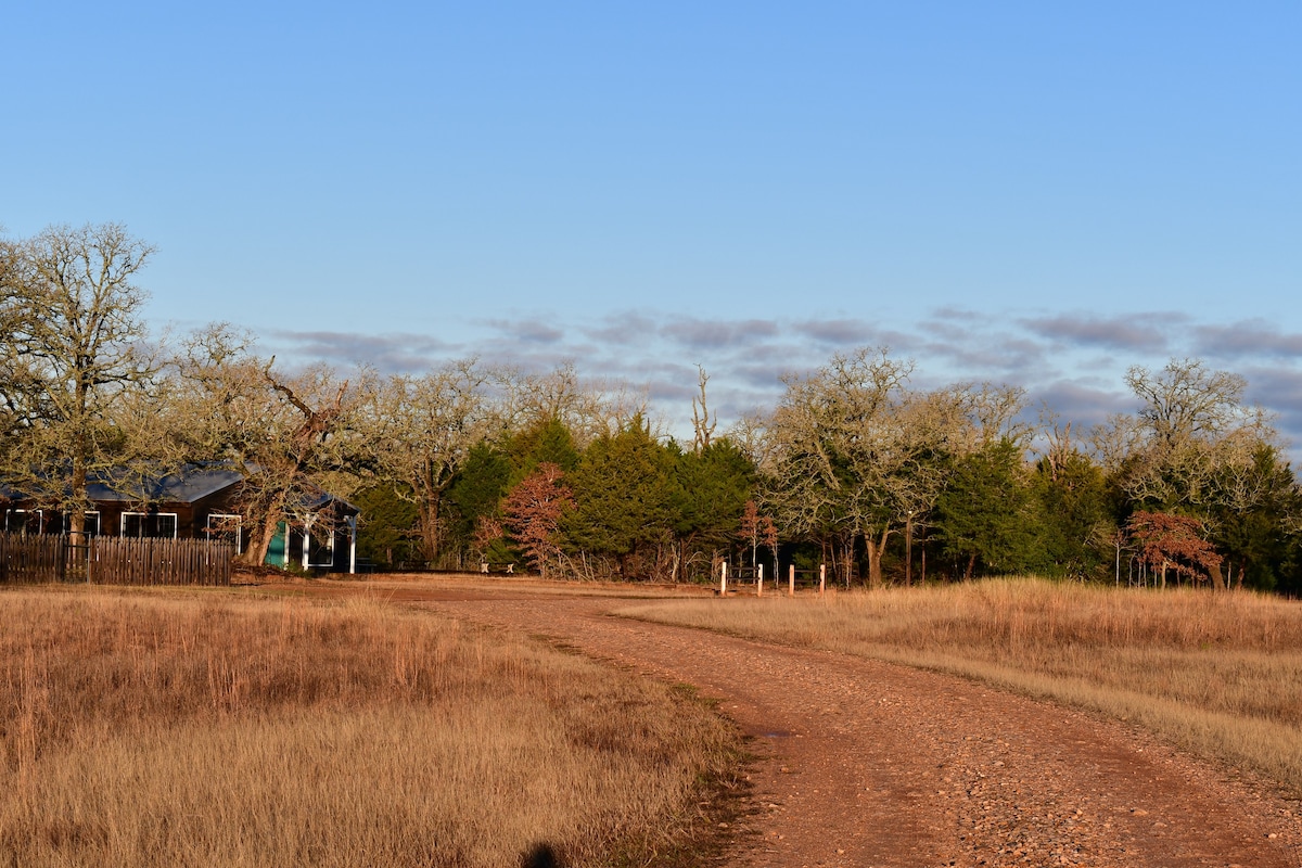 Pet-friendly Private Cabin Studio near Roundtop TX