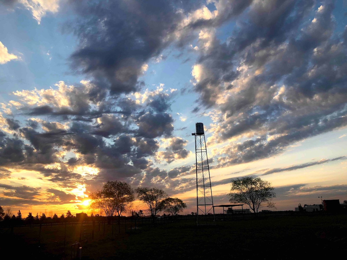 Días en el campo