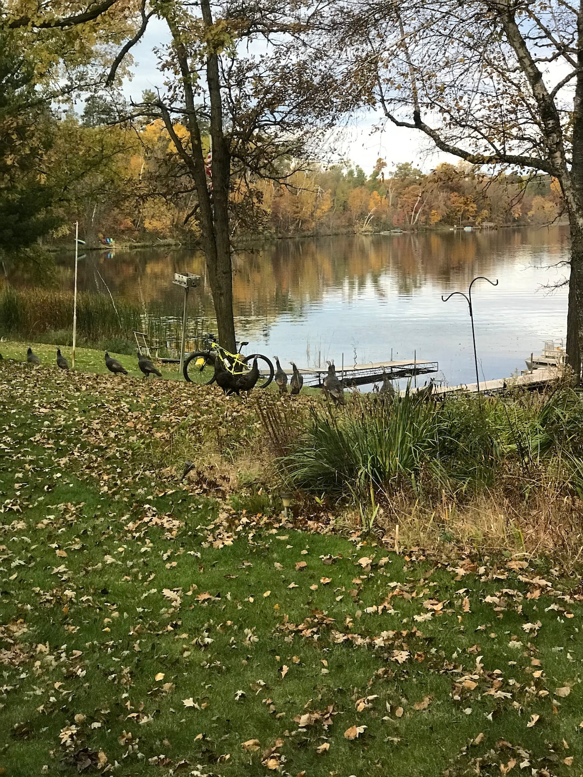 Cuyuna Lake Cabin。自行车道、SUP和Serenity