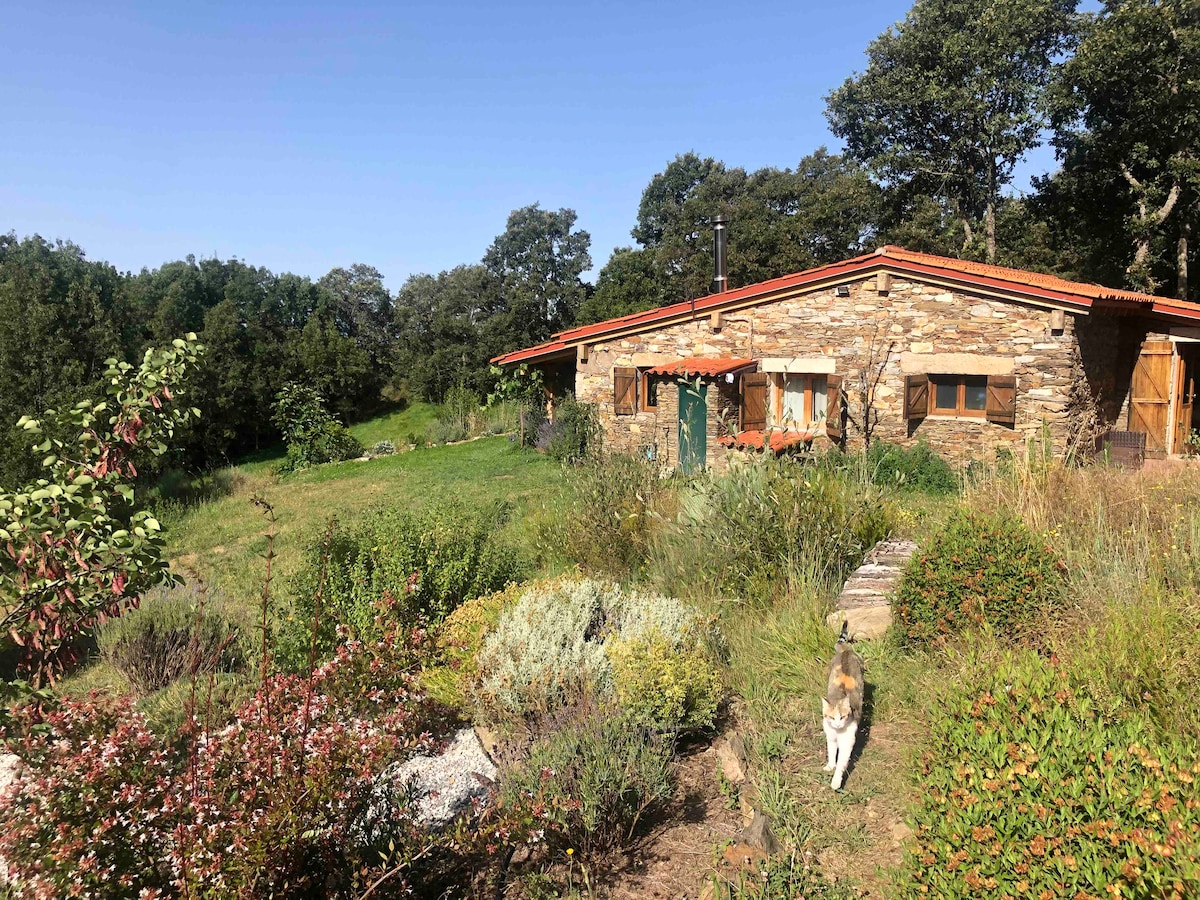 Beautiful Hideaway in the hills of trás os montes