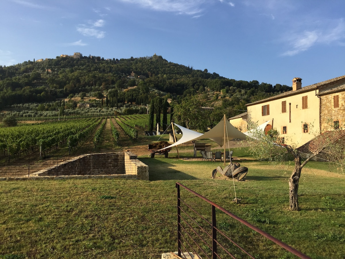 Cappella - agriturismo immerso nelle vigne