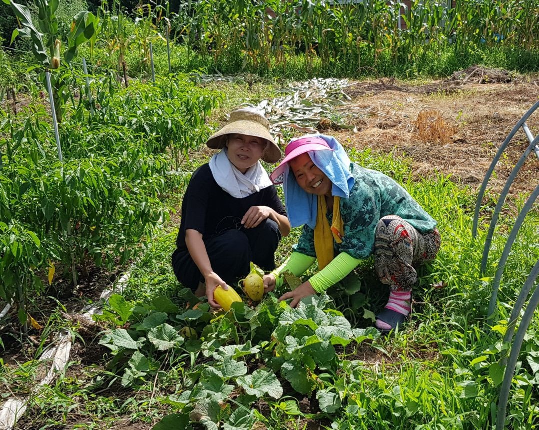 [주황색 102호] 3인기준. 100년이상된 단풍나무가 살아있는 곳