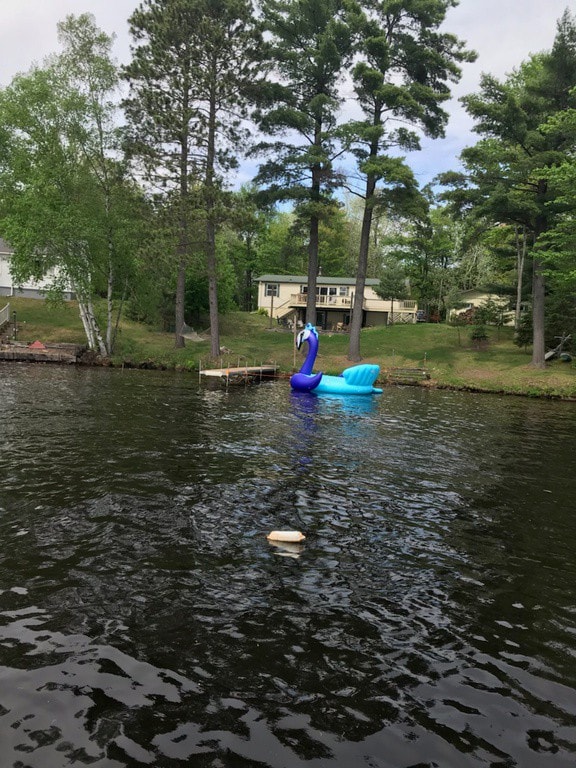 Wintergreen on Boom Lake