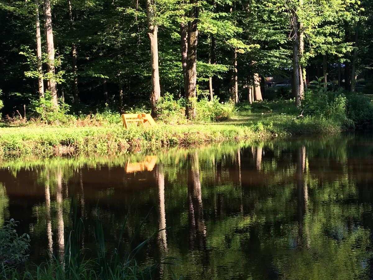 Artist cabin overlooks the pond