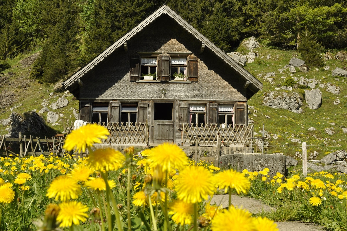 Experience Auen (Swiss unique mountain landscape)