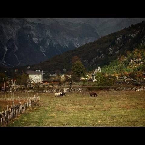 Shkodër County的民宿