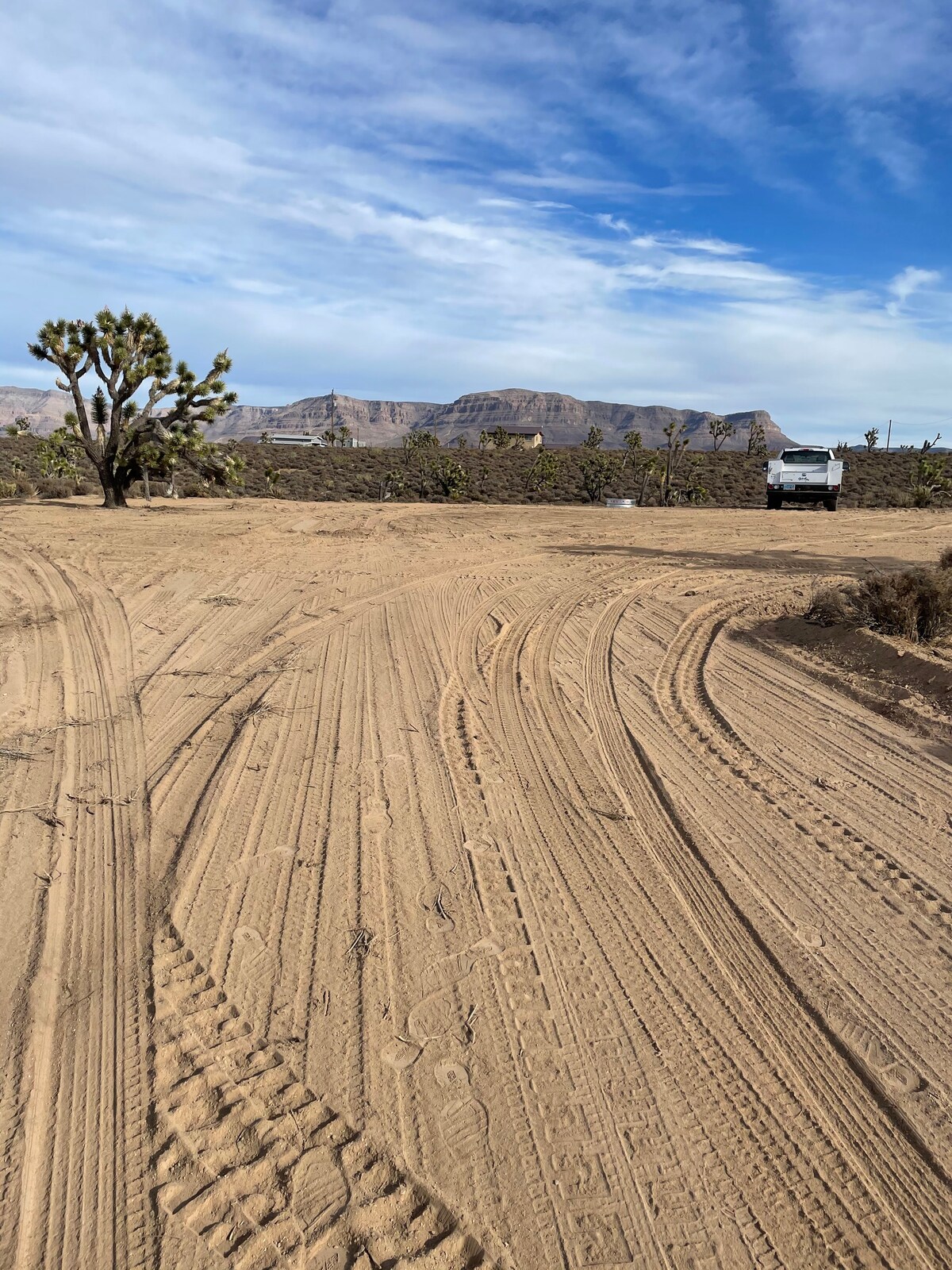 JOSHUA TREE FORREST露营地