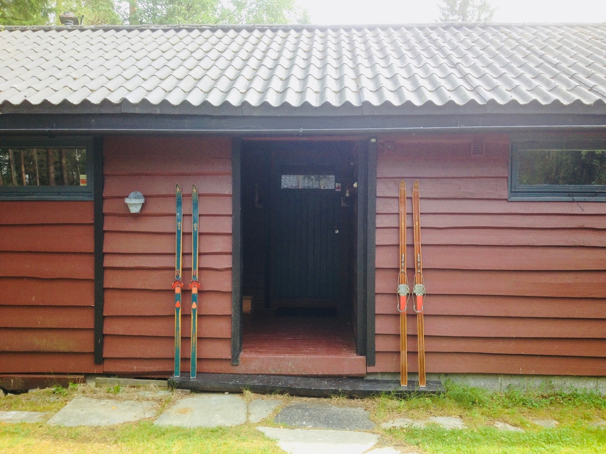 Trollstua -位于奥斯科格（ Aurskog ）的带泳池的舒适小屋。