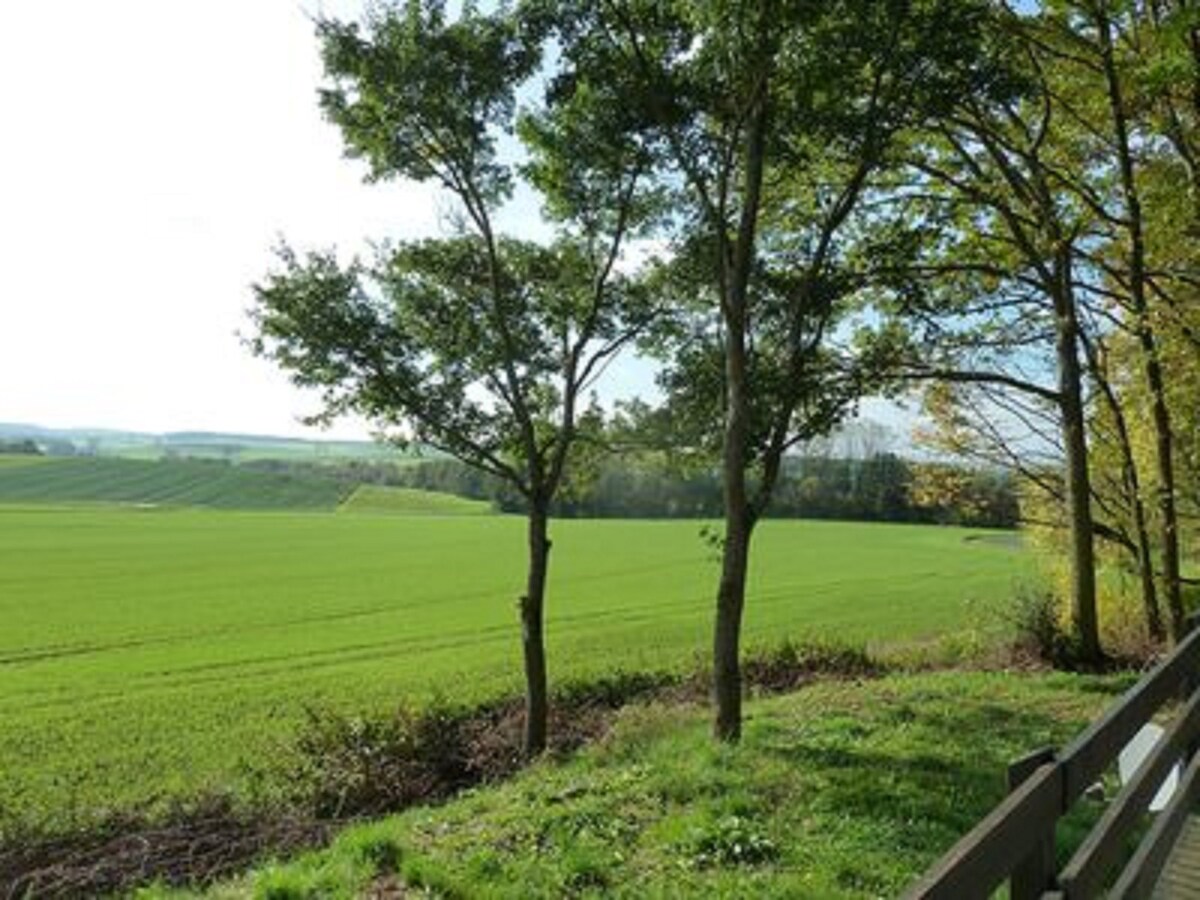 Feriendorf Sulzfeld (Sulzfeld), Ferienhaus Amsel mit Terrasse