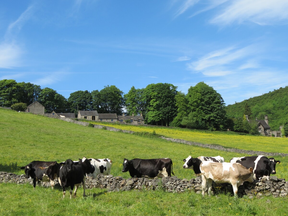 Old Byre, Swainsley Farm, Peak Dist. National Park