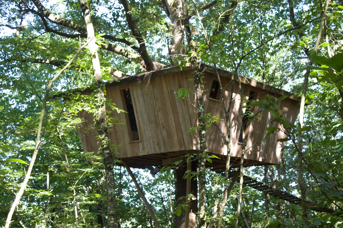 Cabane Hulotte