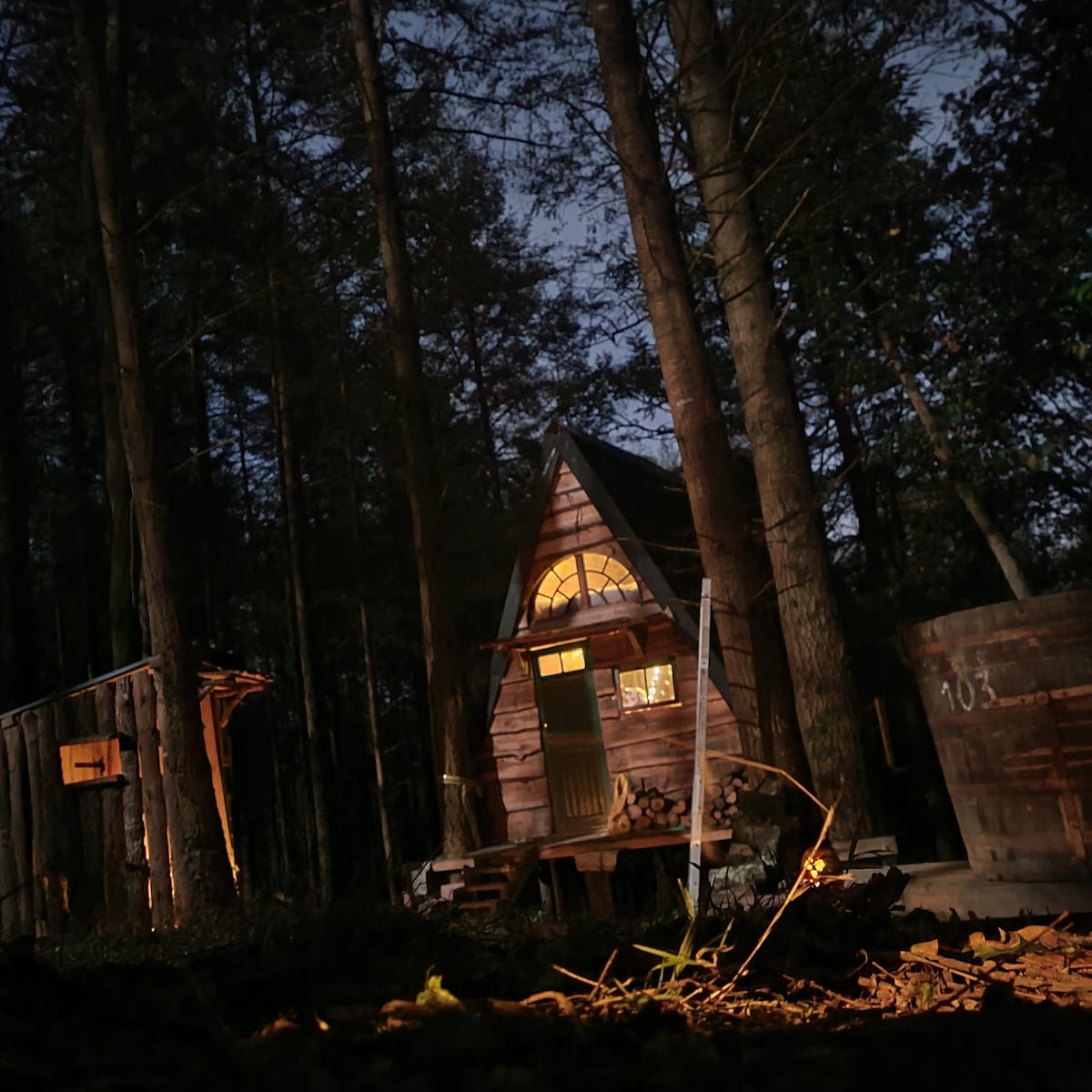 Cabane A en foret de salies de bearn