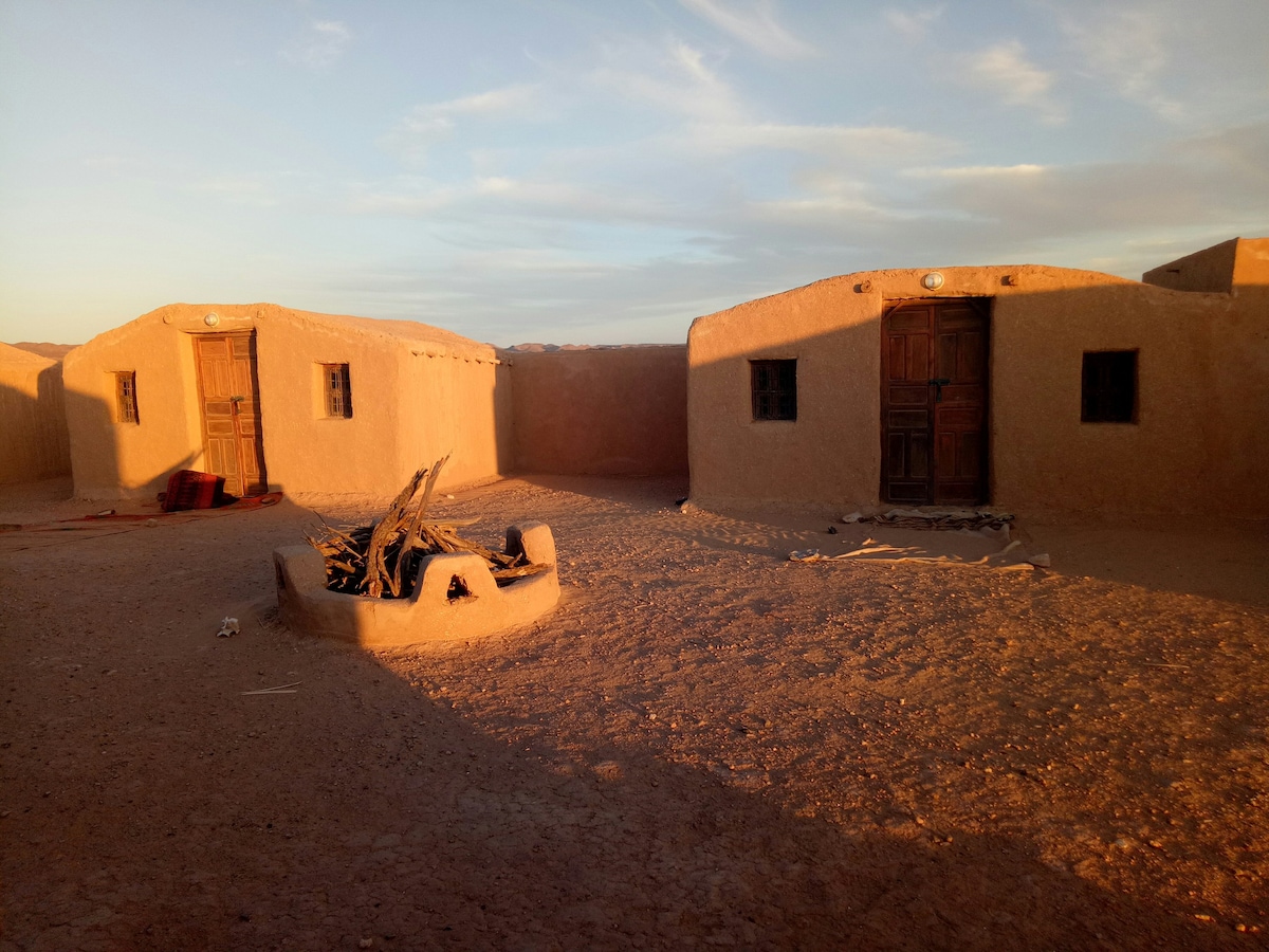 露营和骆驼徒步之旅：和平撒哈拉