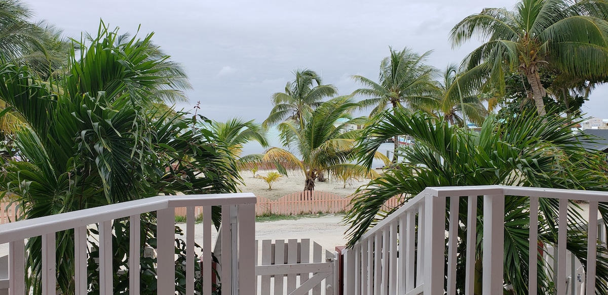 Ocean front hotel with rooftop palapa