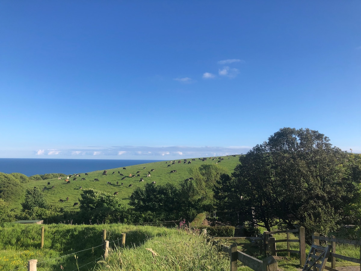 德文海边的隐居之地，景色迷人