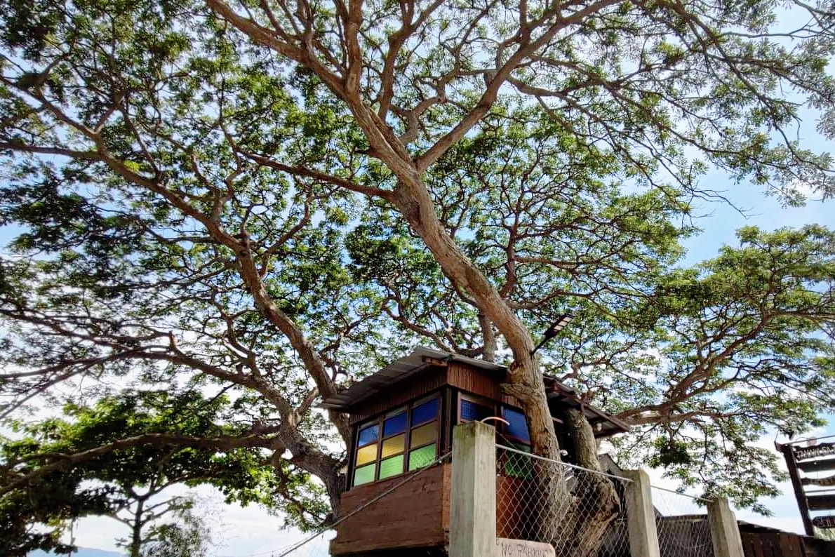 Zaia's Tree house by the beach.