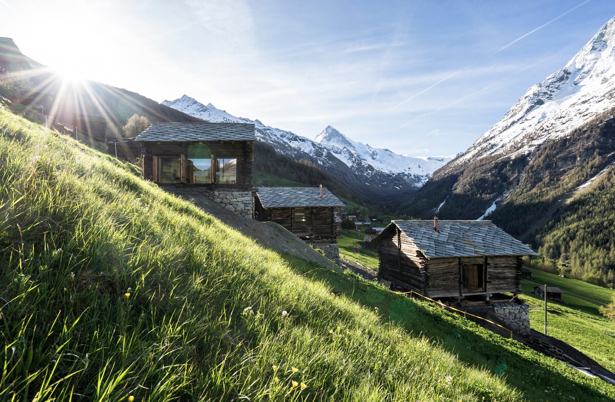 mayen Madeleine, Val d 'Hérens, Valais, Sion Suisse