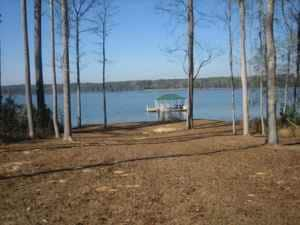 GA LAKEFRONT CABIN W dock & RV plug &PET Friendly!