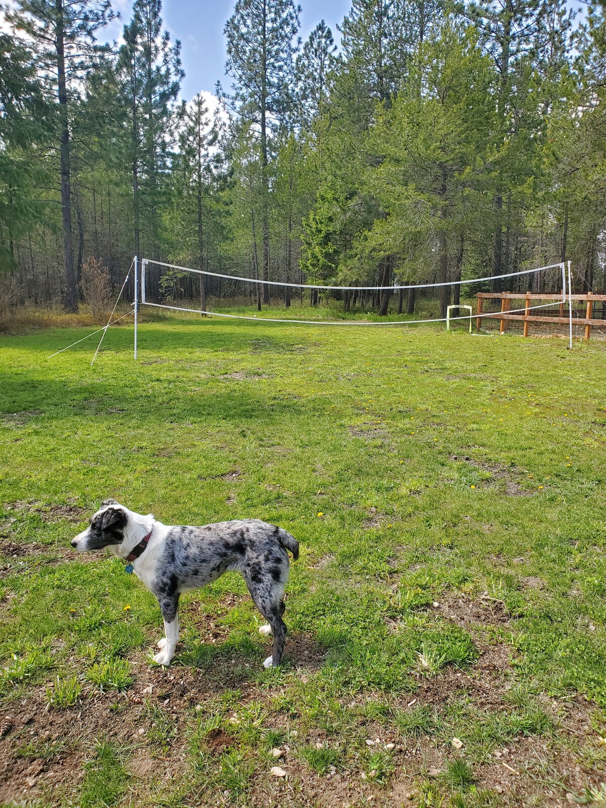 Bella's Mini-Farm site 2, RV or camper