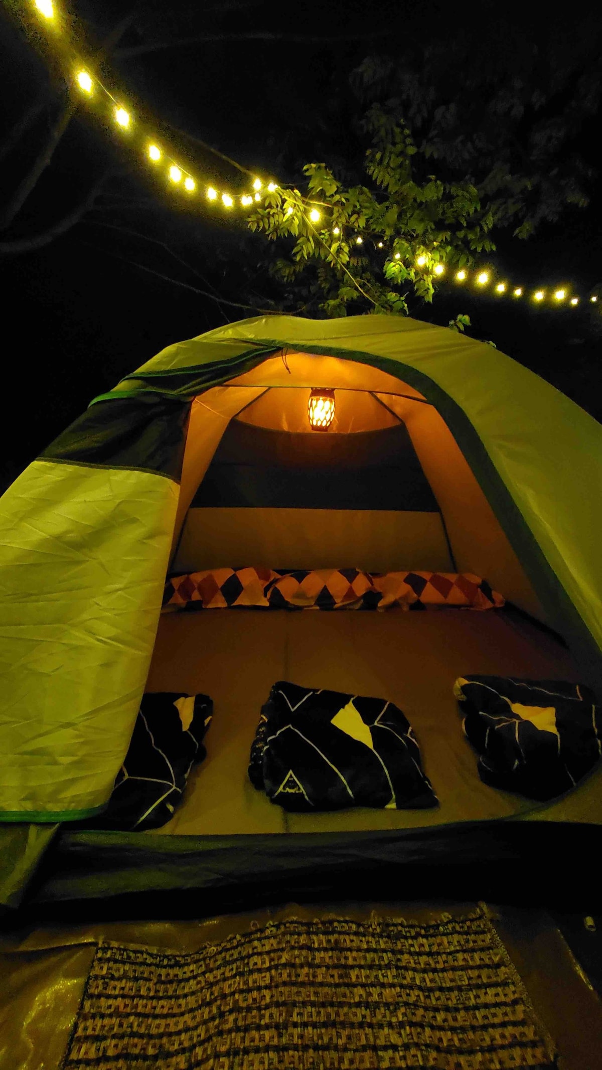 The Caud - Two Person Tent