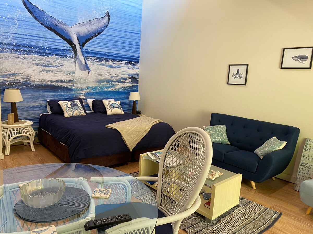 鲸鱼时间单间公寓@ Nautilus. Sapphire Beach