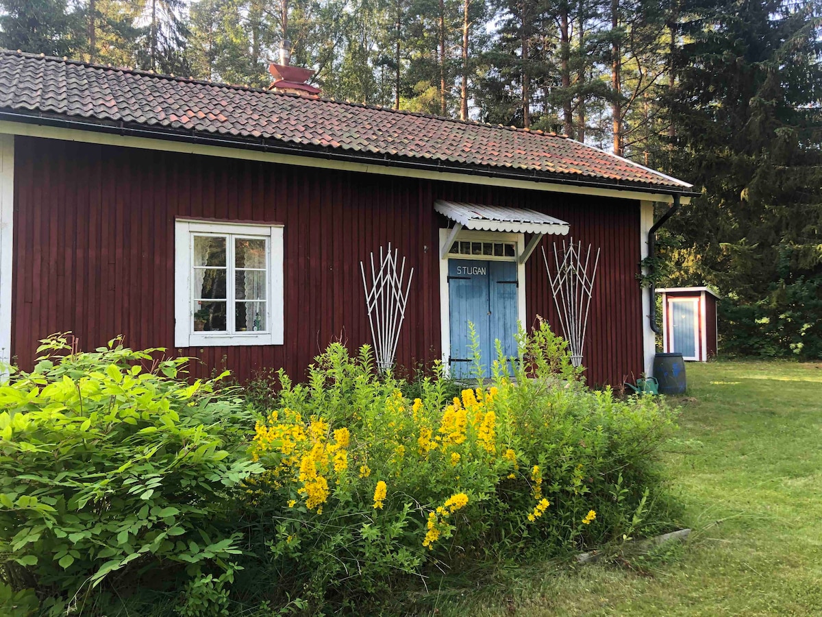 森林中的120年瑞典小木屋