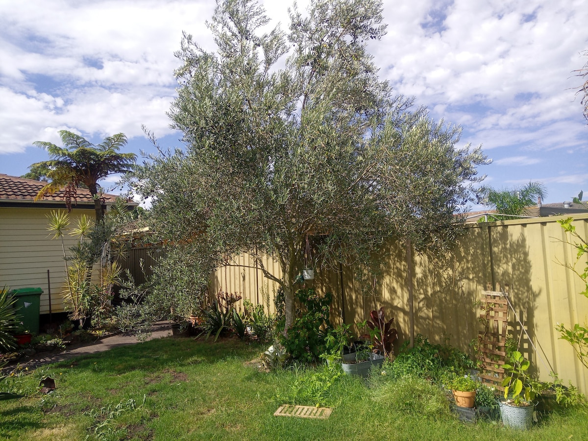 Mara 's Olive Tree Garden