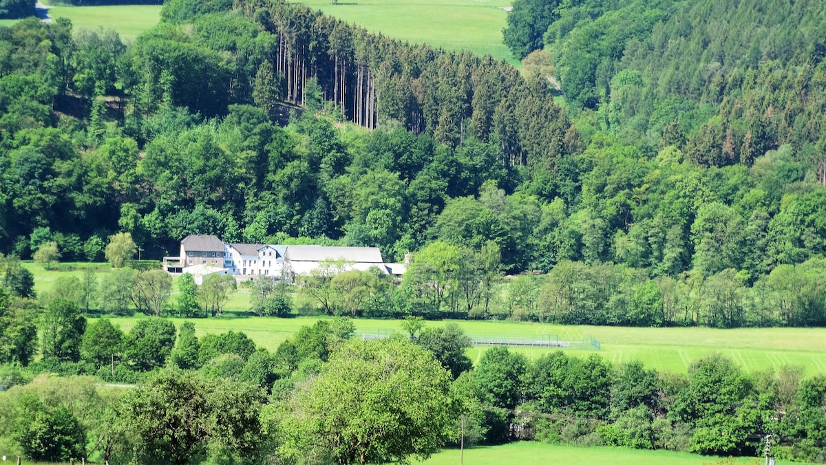 Ferienhaus Talblick